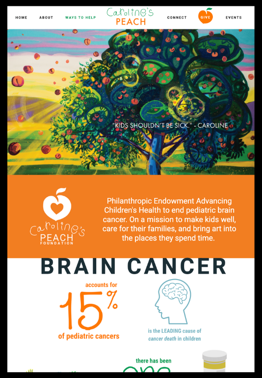 Caroline's PEACH Foundation custom Showit website design by Madison Paige Co., built for nonprofit in West Michigan.”