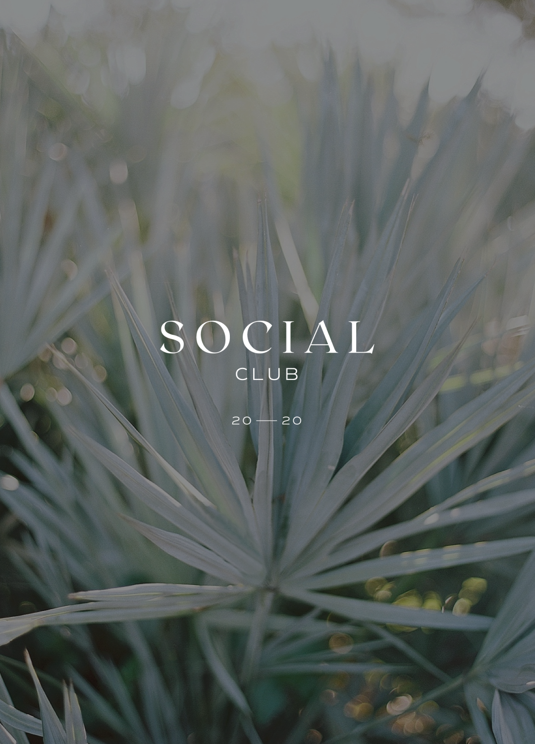 Social Brand Kit by Salt and Spruce - Secondary on Image-2