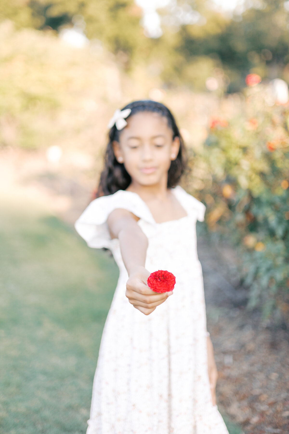 best family photographer dallas