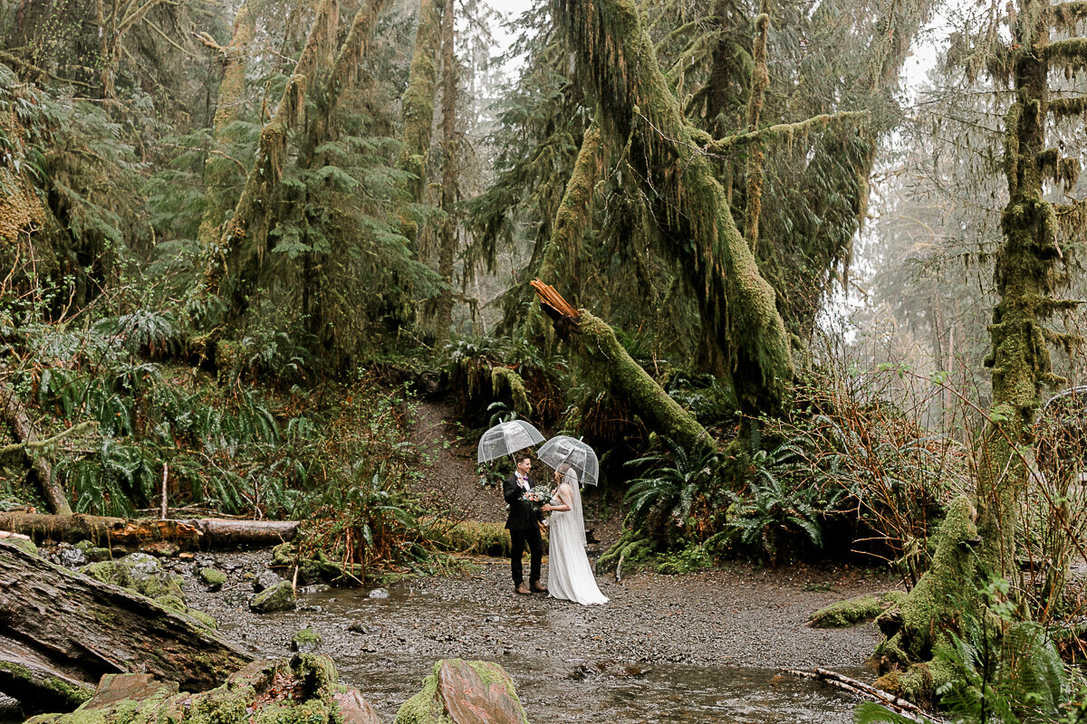 washingtonelopementphotographer-fernacreswedding-forkswashingtonwedding-pnwelopement-8