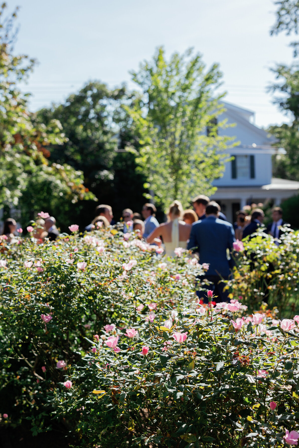 MarthaVineyardWedding_DanielFisherHouse-10