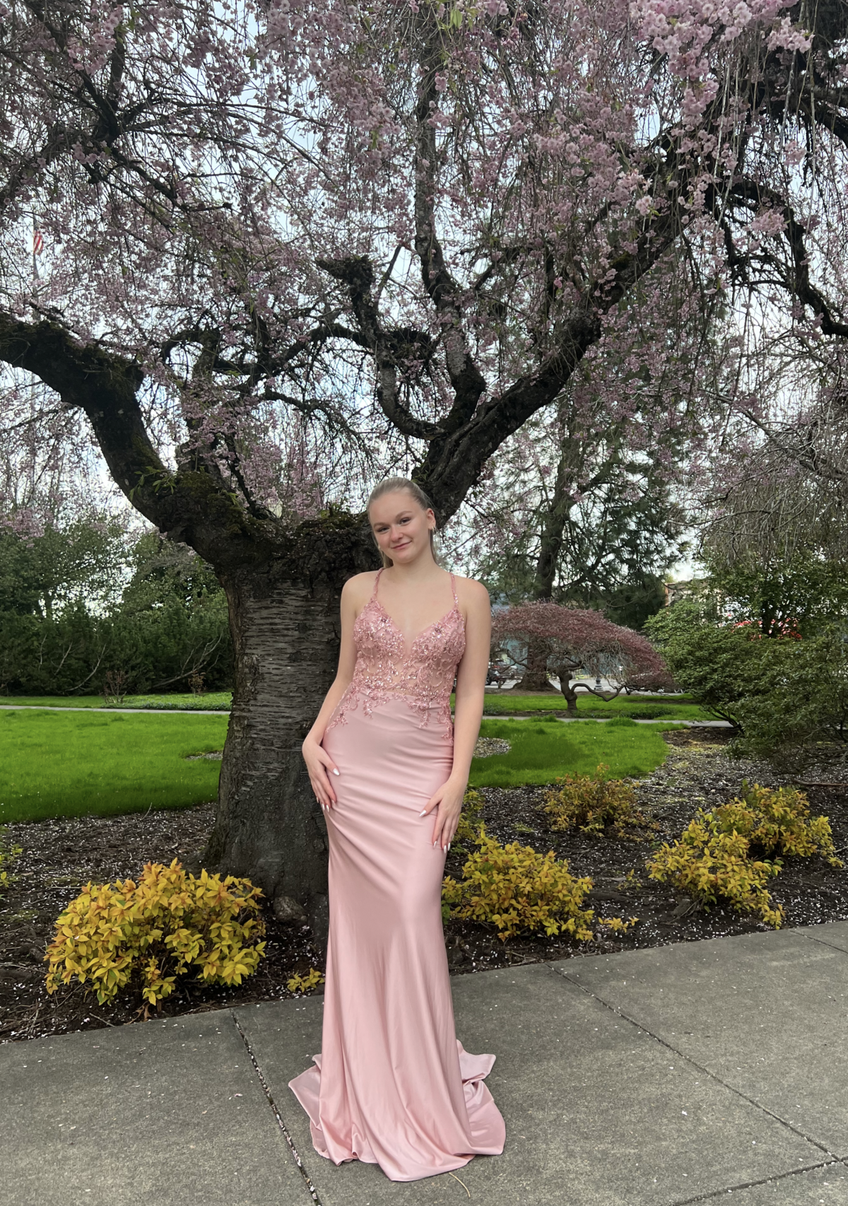 Formal Dress Pink | Lucia Isabel