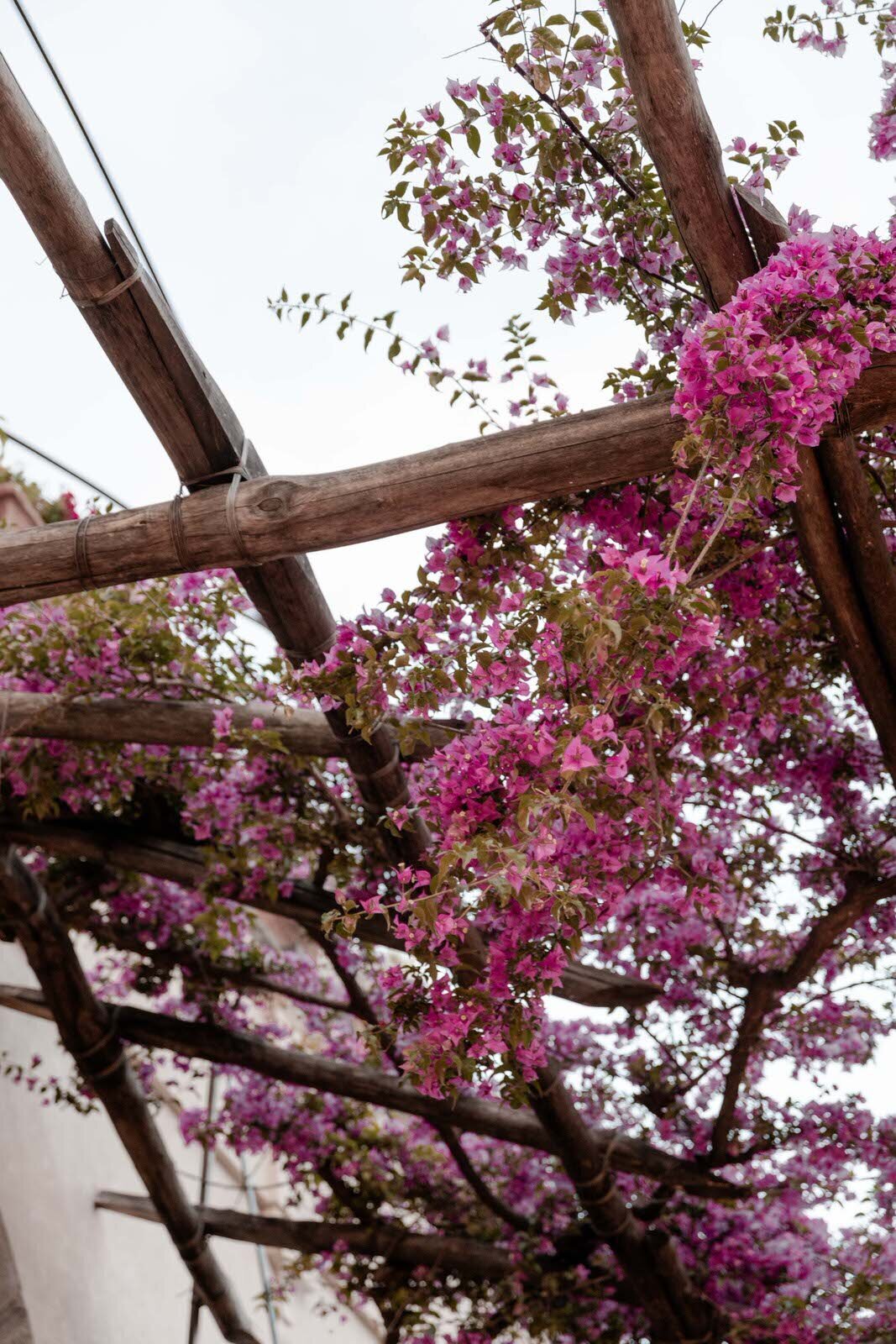 Flora_And_Grace_Positano_Editorial_Wedding_Photographer (66 von 88)