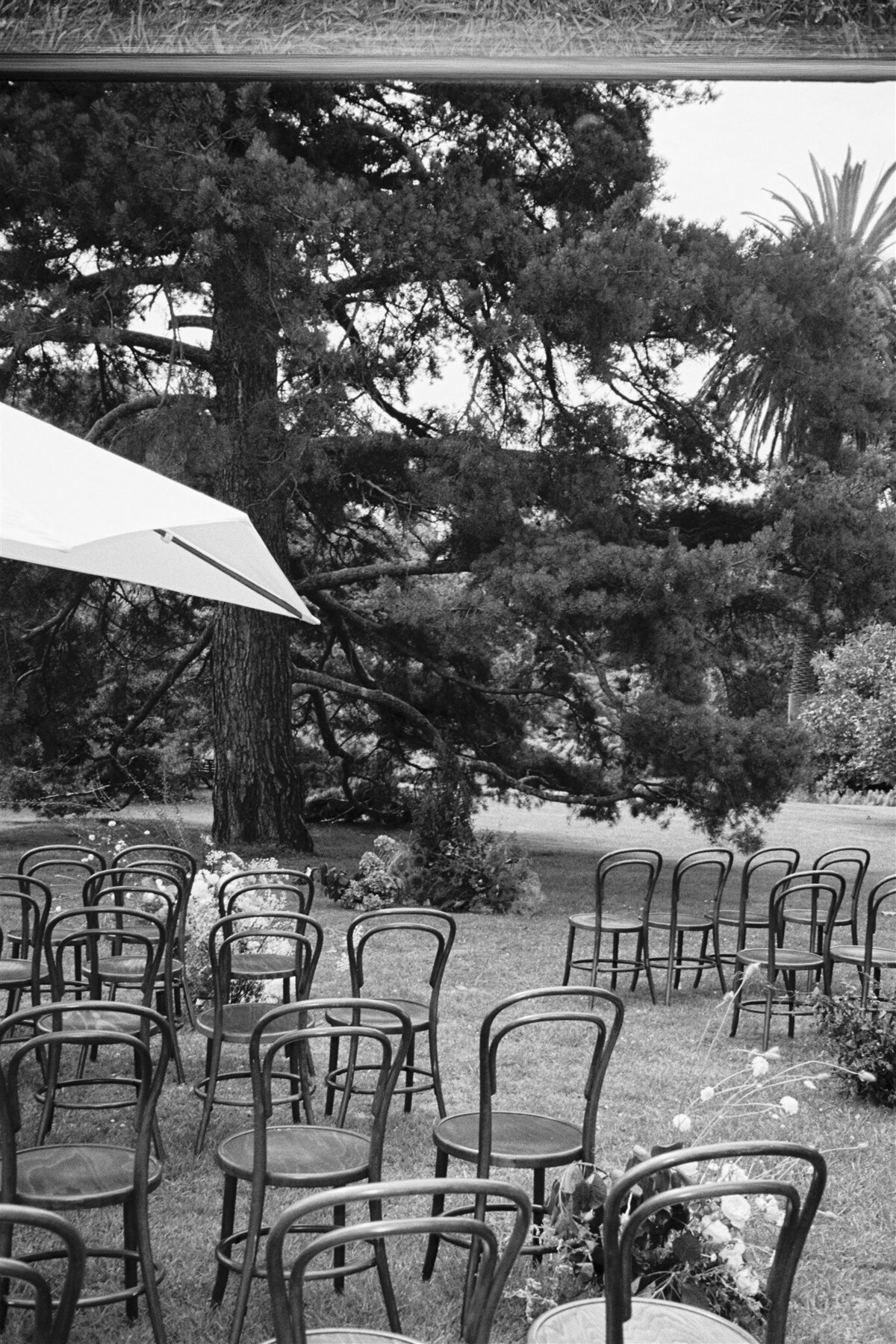 Maegan-Brown-Moments_20240120_Wedding_Stella-Julian_Botanical-Gardens_Sophia-Prahran-Arcade_35mm-Film_0008-Copy1