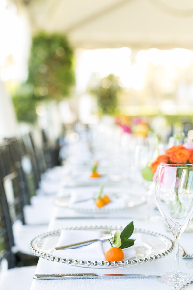 Windsor Vero Beach photographer | Windsor  photographer | Windsor  photographer  | Amalie Orrange Photography| Windsor  Vero Beach wedding couple | Windsor Florida wedding  | Vero Beach wedding photographer-29