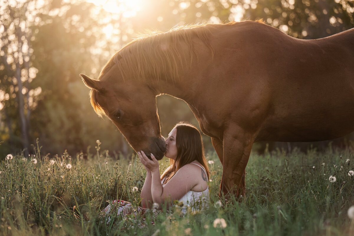 Equine photography