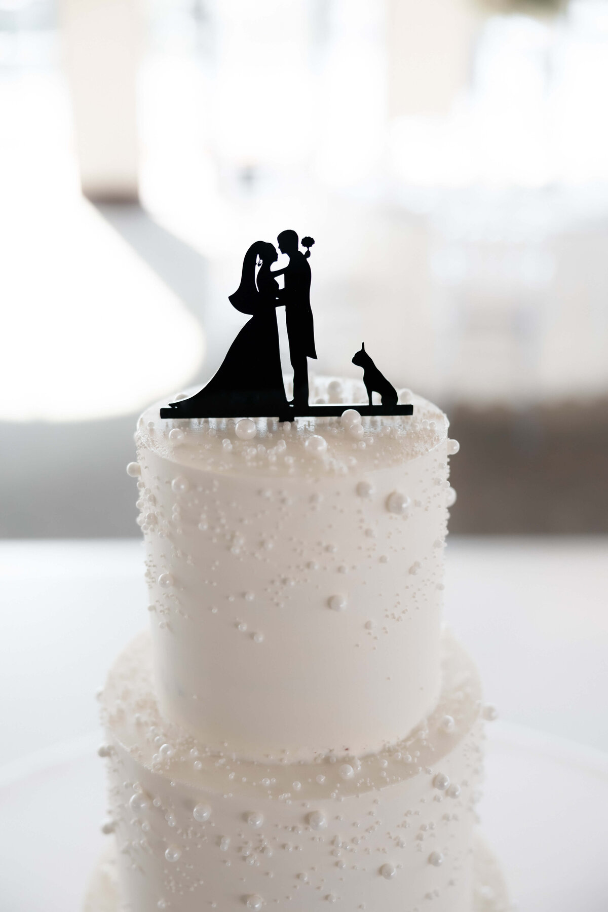 79_riskyexposure_marley-simon_las-vegas-elopement-photography