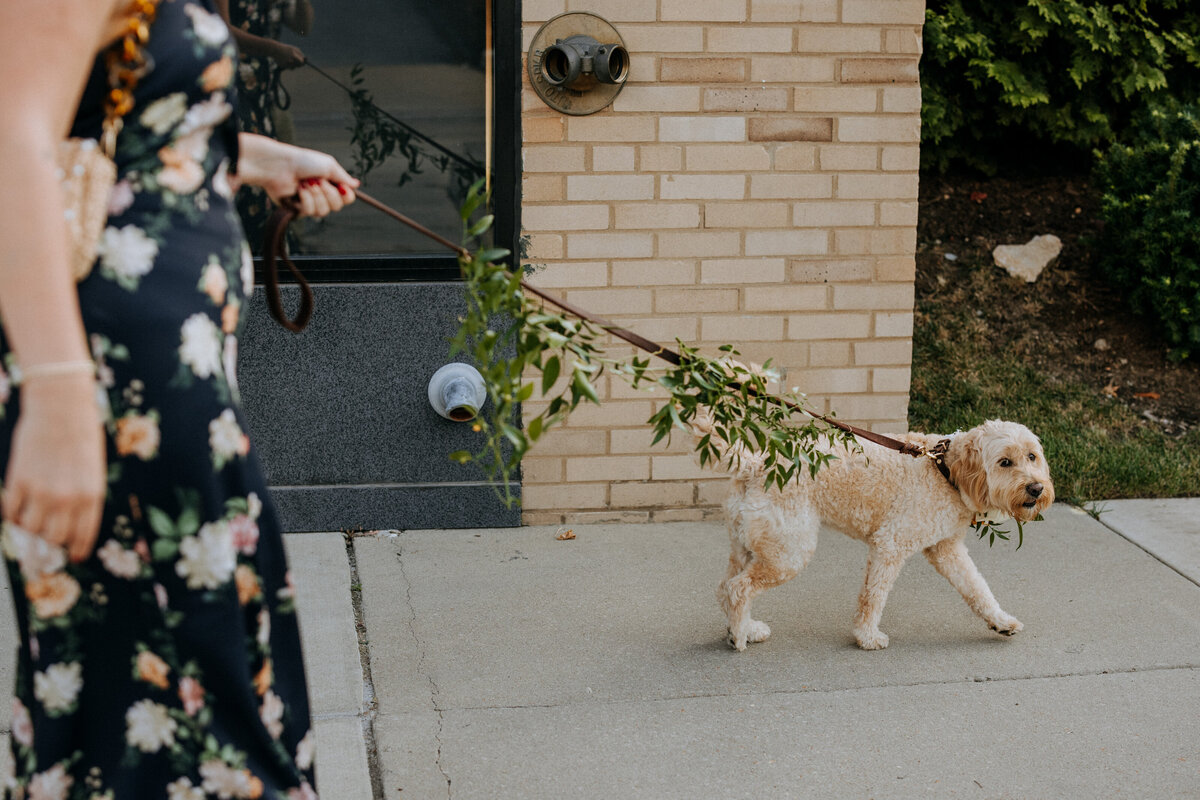 159 - BRITT + TAYLOR WEDDING TEASERS - DOGWOOD STL - NORTH ARROW CREATIVE -0335