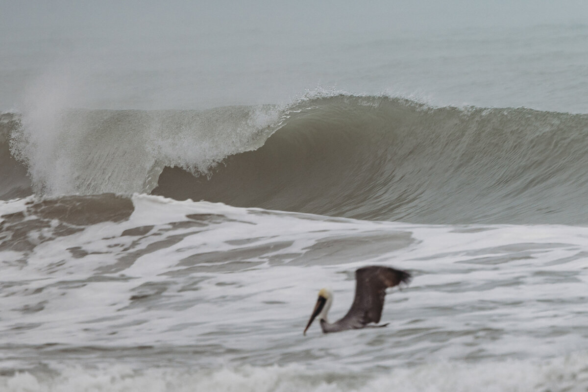 SURFING AT CLAYTONS PIER ON SOUTH PADRE ISLAND TGSA COMPETITION-18