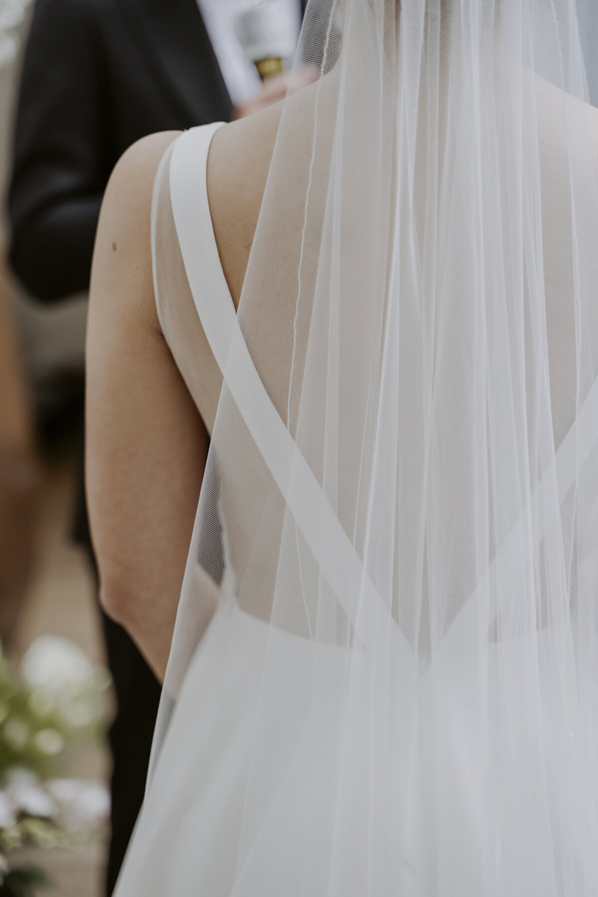 back less wedding dress and the veil of the bride