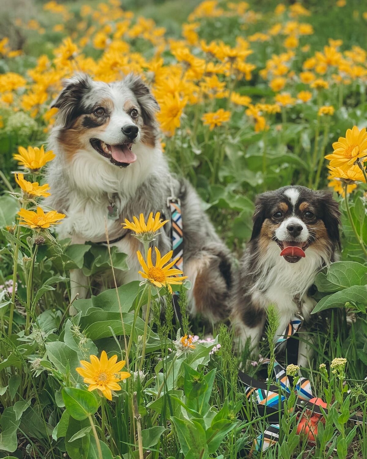 E20579B4-0395-4189-83A5-439B36EF61E5