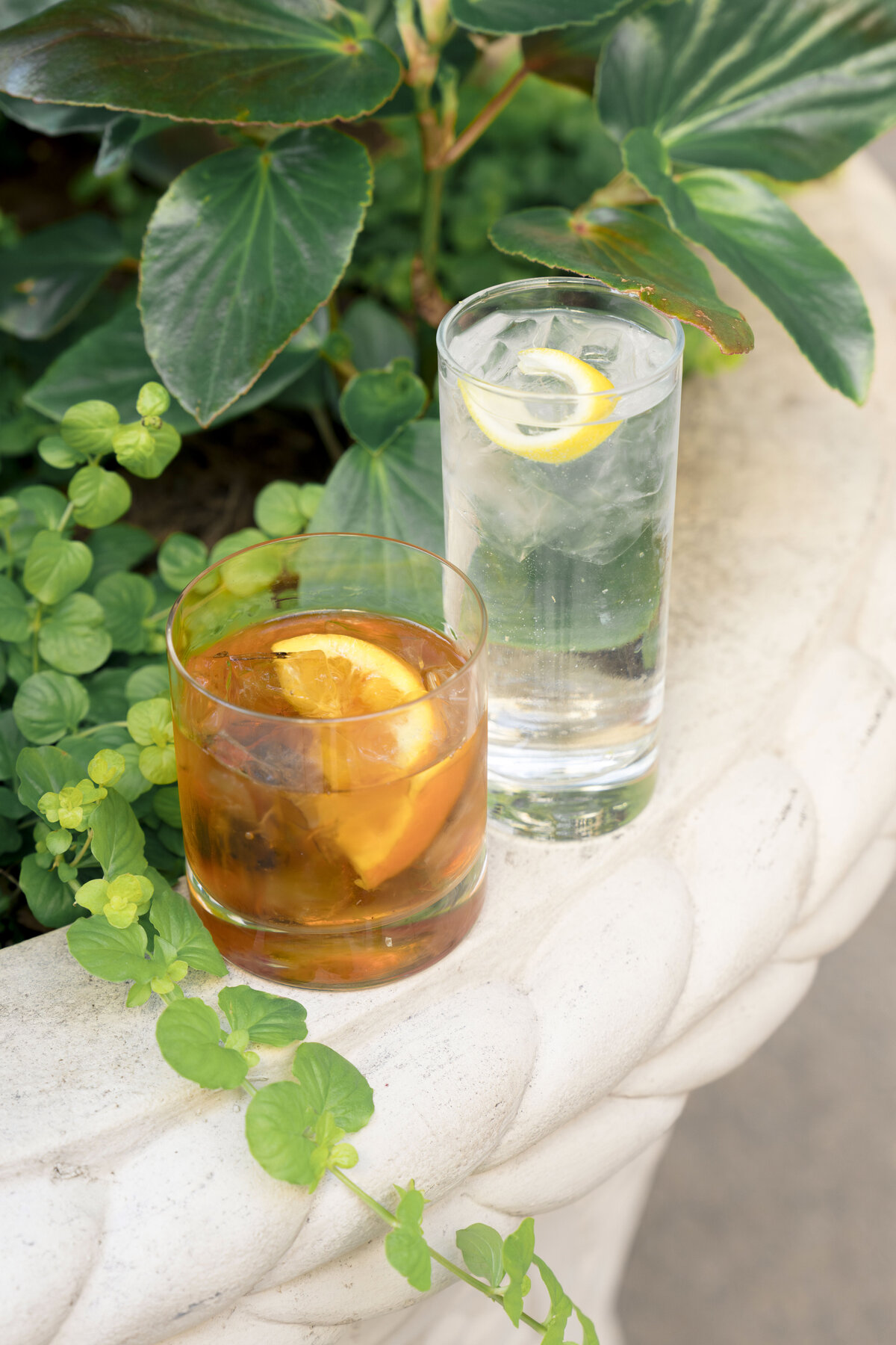 Two drinks on a stone surface: a glass of amber liquid with an orange slice, possibly an old-fashioned cocktail, and a tall glass of clear liquid, likely water, with a lemon slice. Lush green plants in the background.