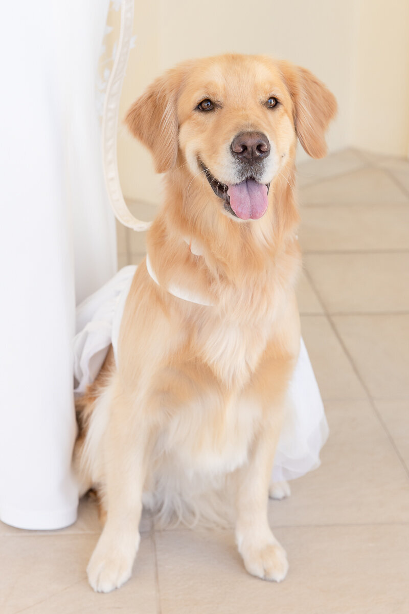 Chase & Christiana wedding at The Moorings | Images by Amalie Orrange Photography-14