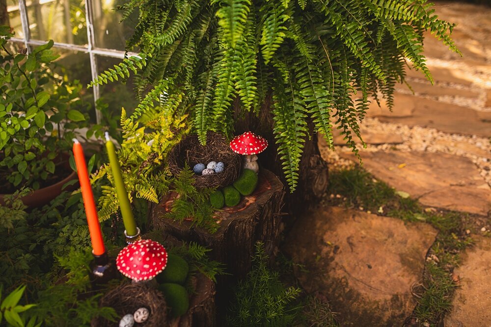 Fairy Mushroom Forest Wedding Virginia Greenhouse_0064