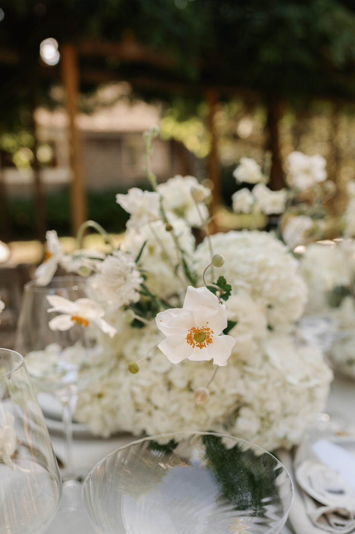 marthas-vineyard-elopement-wedding-4