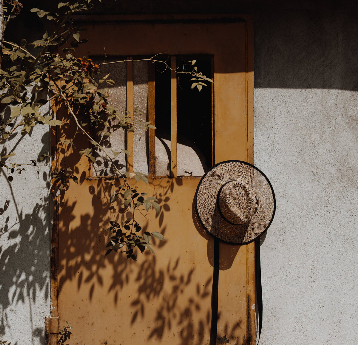 haute-stock-photography-subscription-golden-hour-collection-final-19