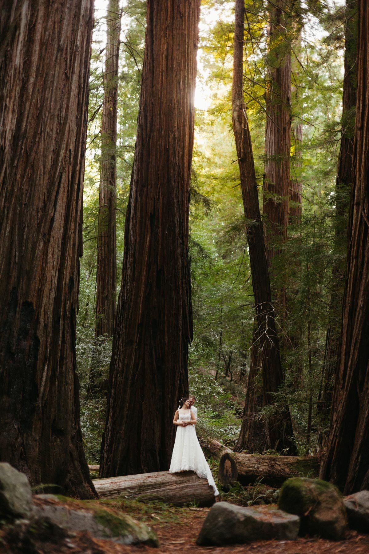 california-redwoods-elopement-photos-31