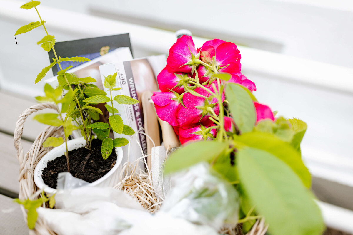 Nordic Destination Wedding Planner_32
