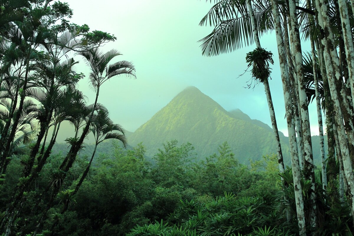 martinique la perle rare5