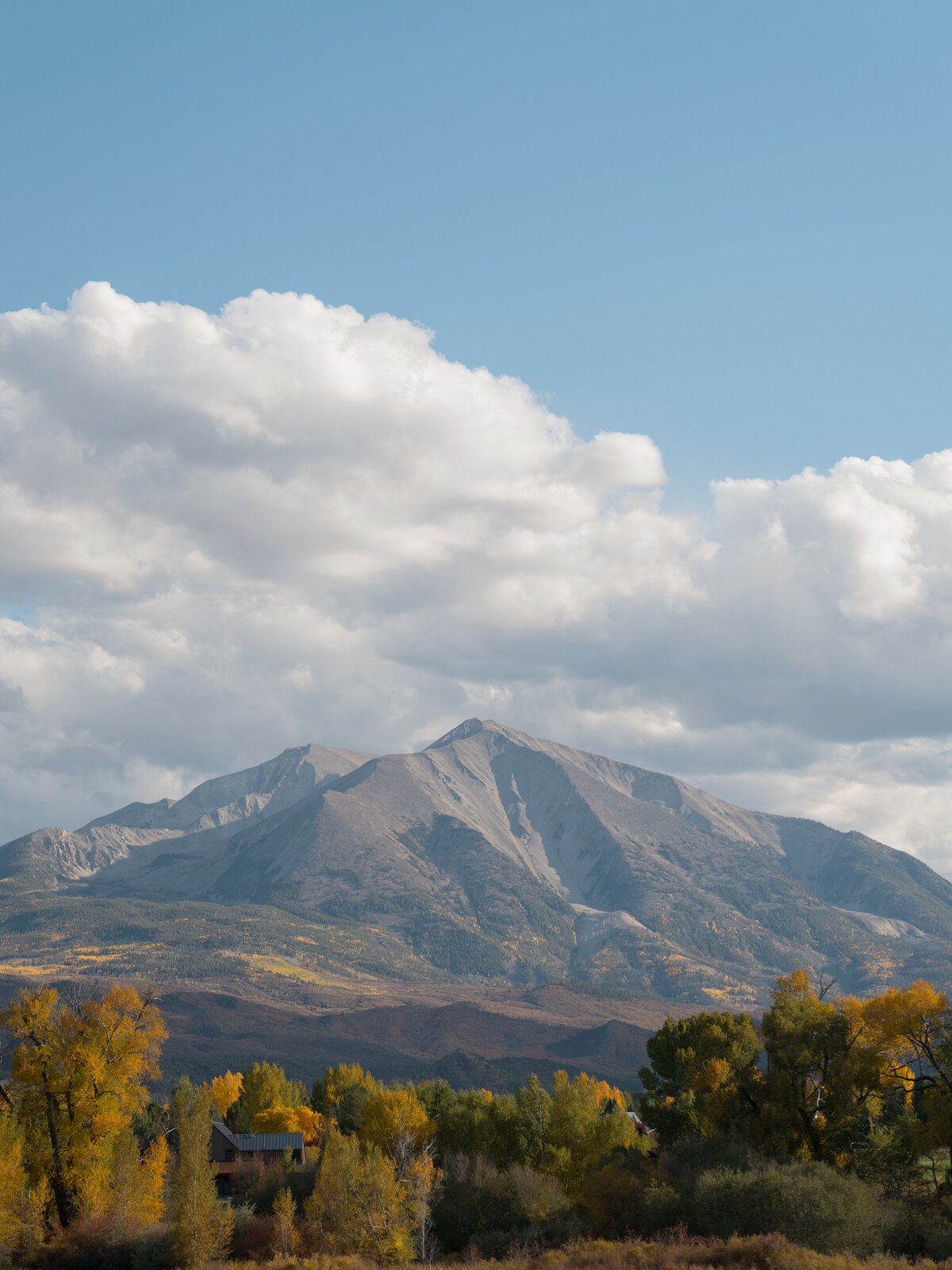 Lauren & Seth Wedding-64