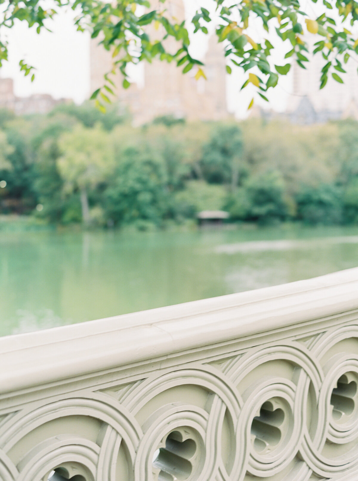 Tiffaney Childs Photography-NYC Wedding Photographer-Andrea + John-Central Park Engagement -114