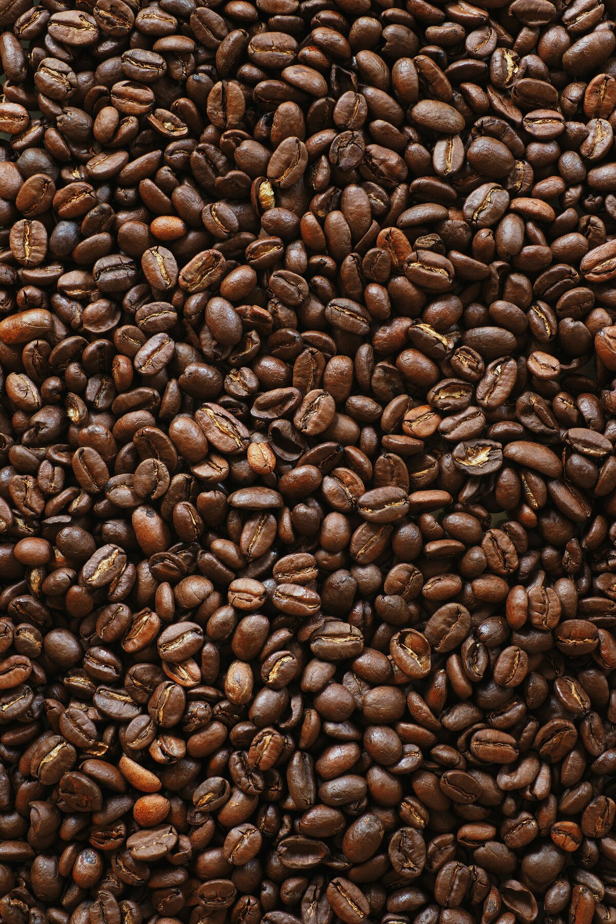 lukasz-rawa-fmc-tFMMiBs-unsplash