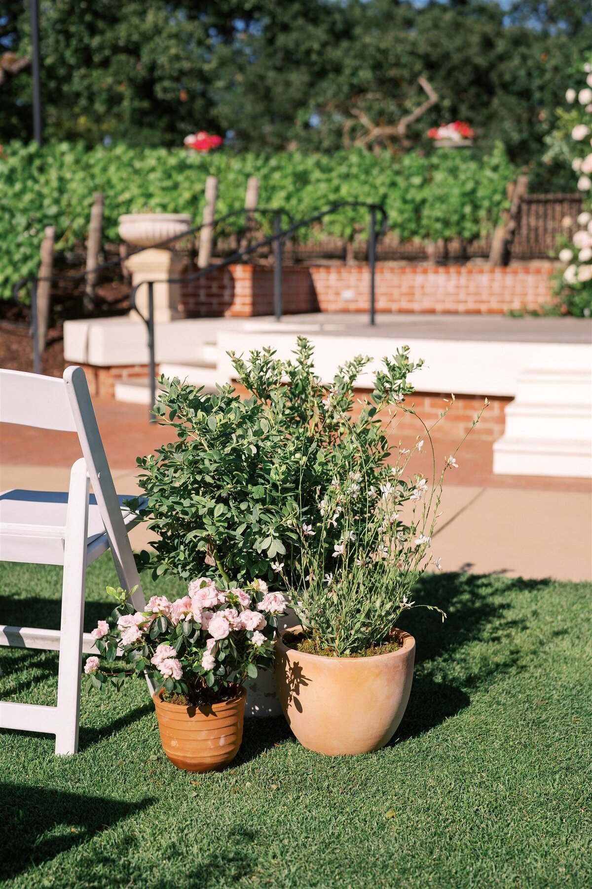 WILLOW-AND-BEN-NAPA-WEDDING-PHOTOGRAPHER-364
