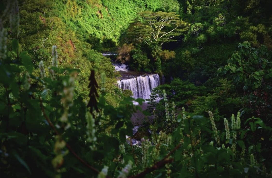 KauaiWaterfall
