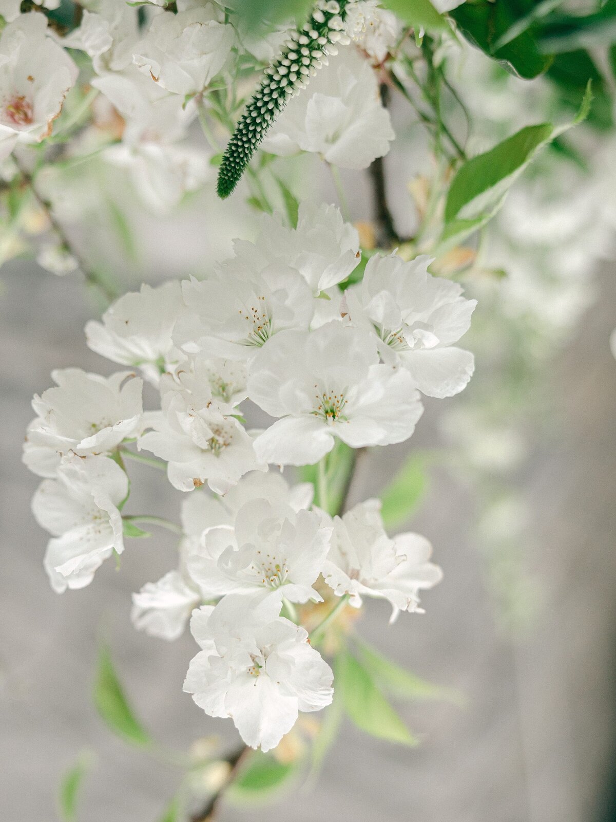 devere tortworth costworlds wedding inspiration-26