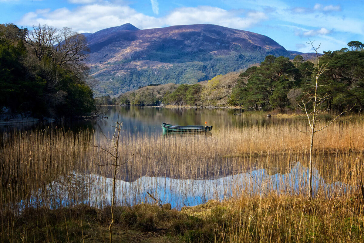 Muckross House and Gardens, Killarney National Park, Co Kerry_Web Size (1)