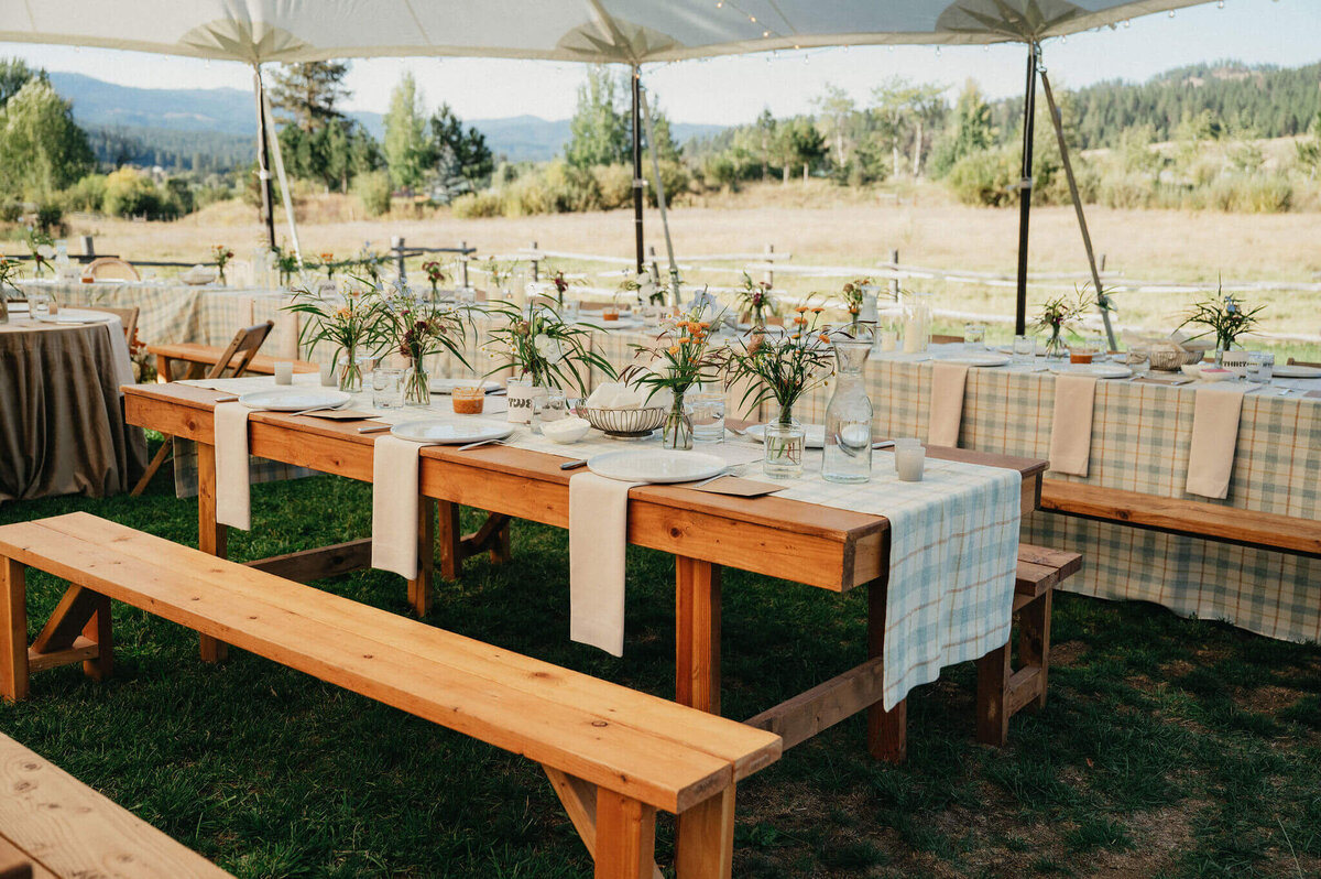 Outdoor wedding reception with picnic tables set for guests.