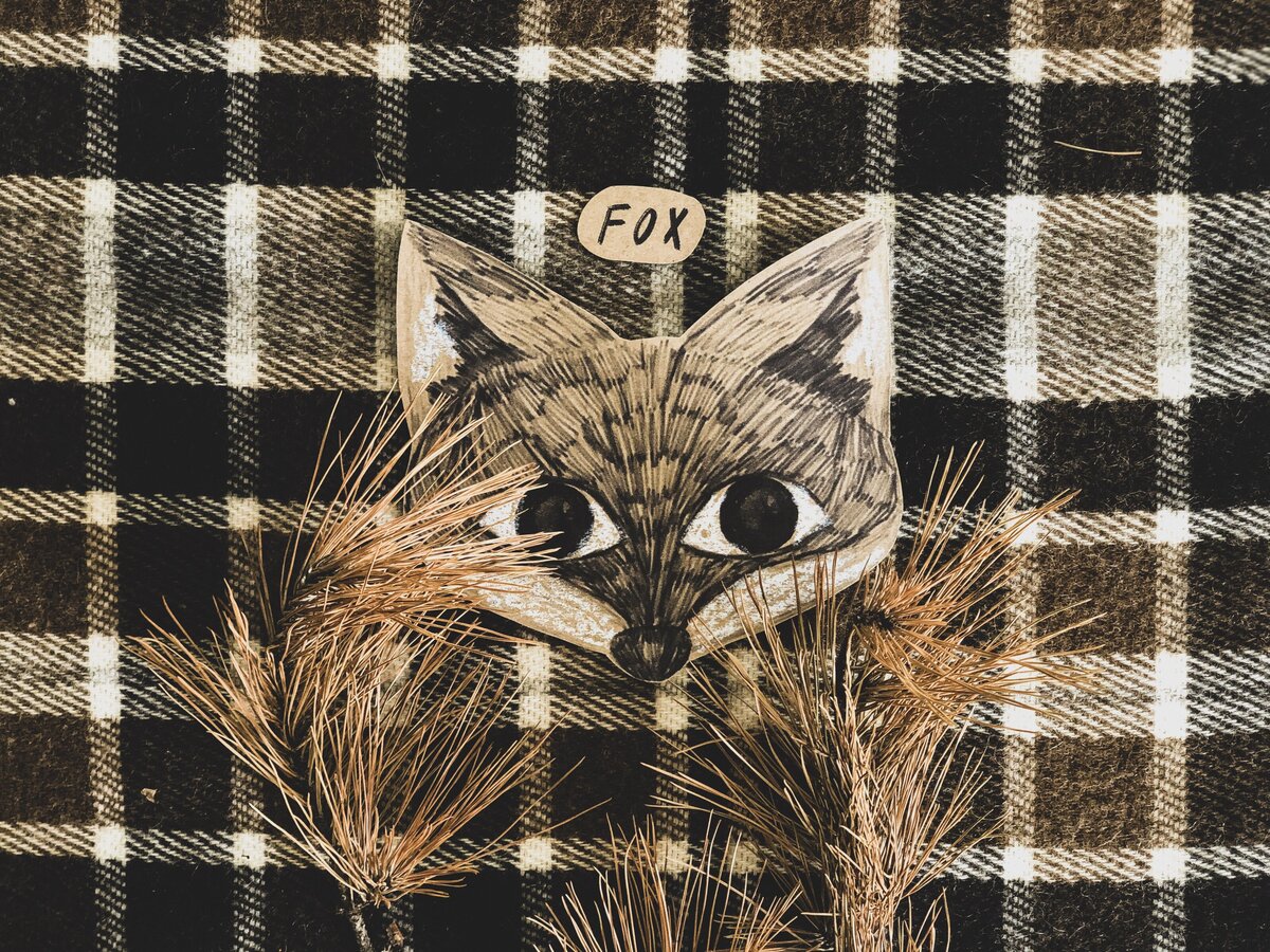 fox friend