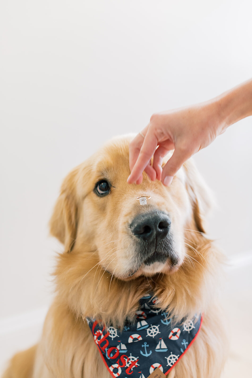 Cora Jane Photography _ A&R Highlights-7