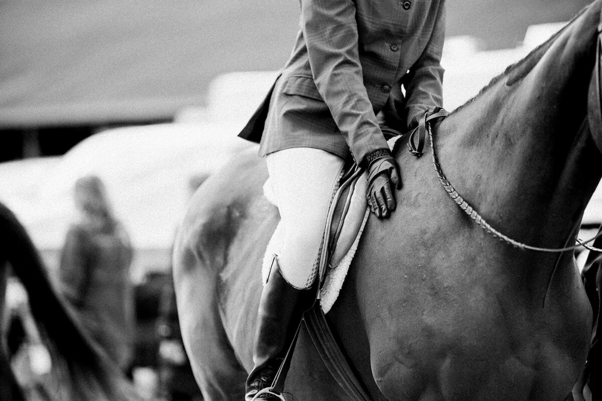 Equestrian Photography559
