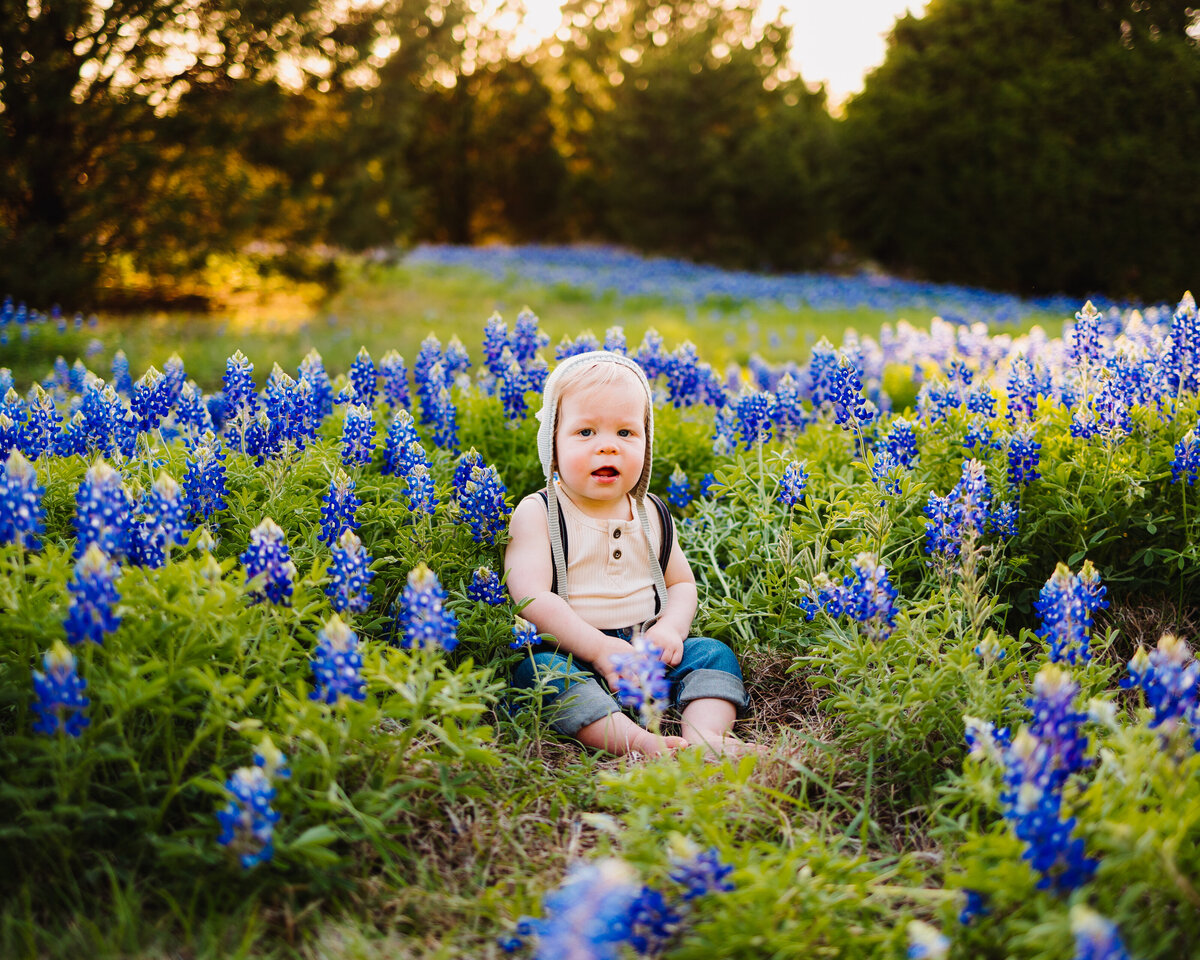 Spring and summer baby mini session photography. The baby boy sits on the glass with purple flowers around him.