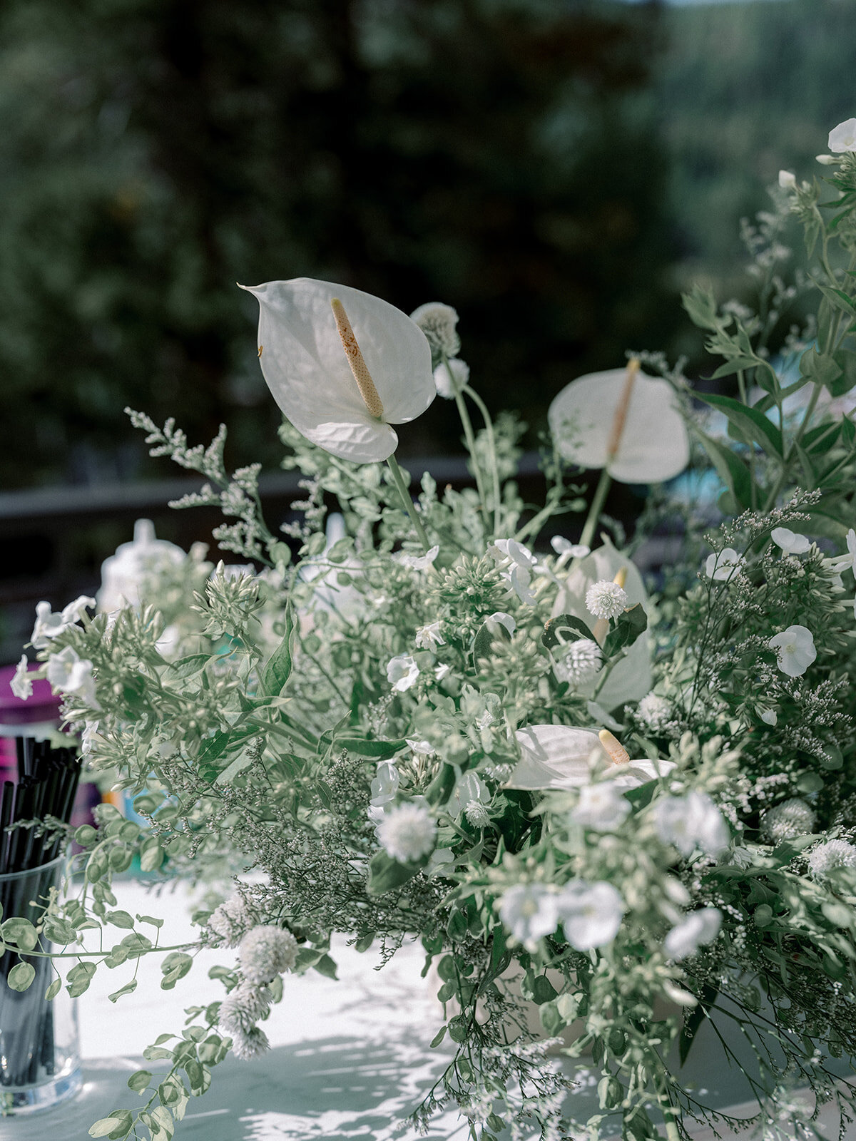 Cassia-and-AJ_Wedding_Everline-Resort-and-Spa_Lake-Tahoe_427