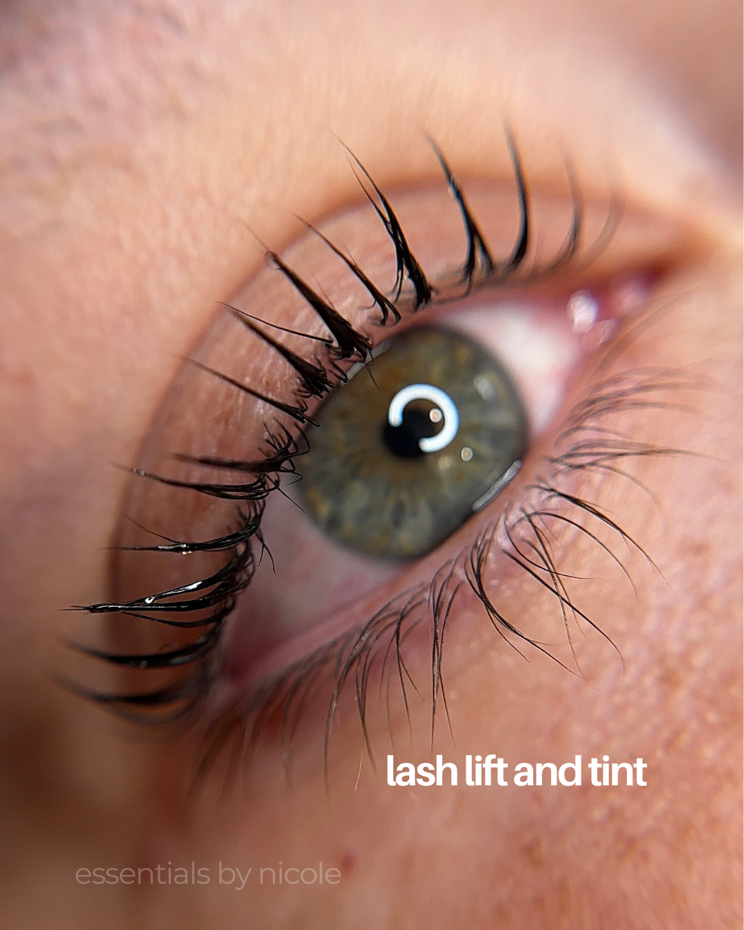 lash lift in west springfield massachusetts at essentials by nicole 