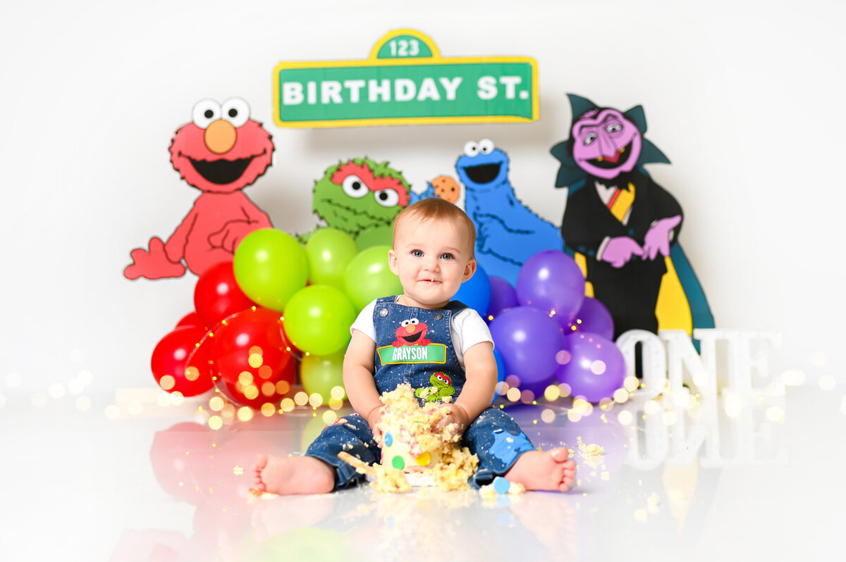 Sesame Street CakeSmash7