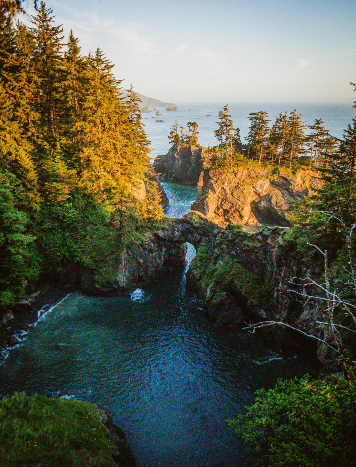 Natural Bridges Dusk