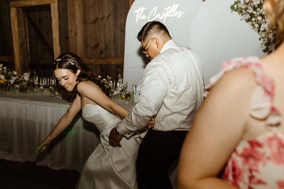 doorcountyWEDDINGphotographer-CASTILLO546