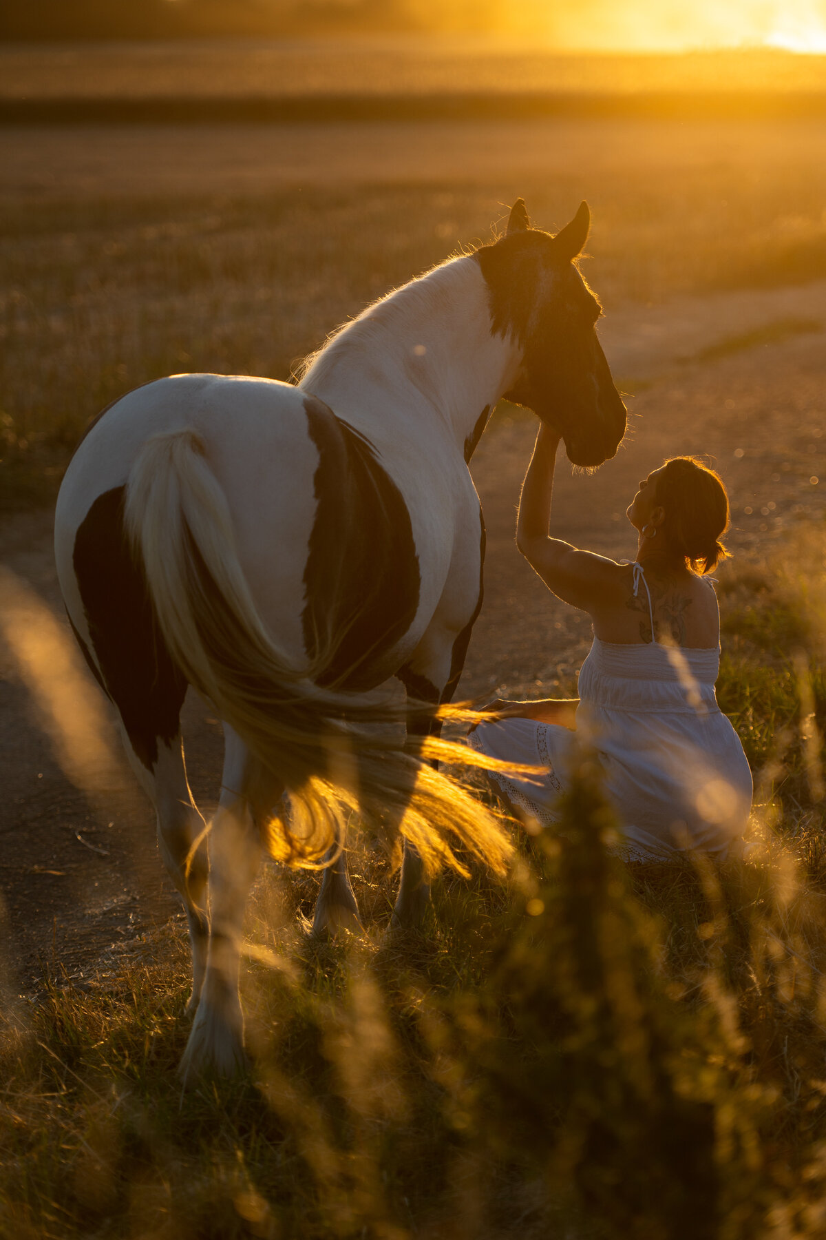 2022_Zafiri_Tinker_Georgie