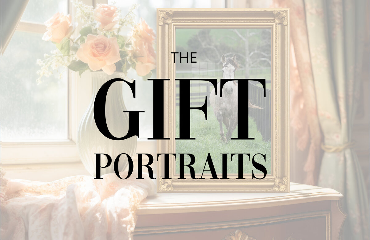 Gift Portraits 0