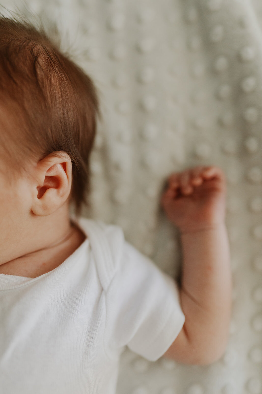FjeldheimNewborn-136