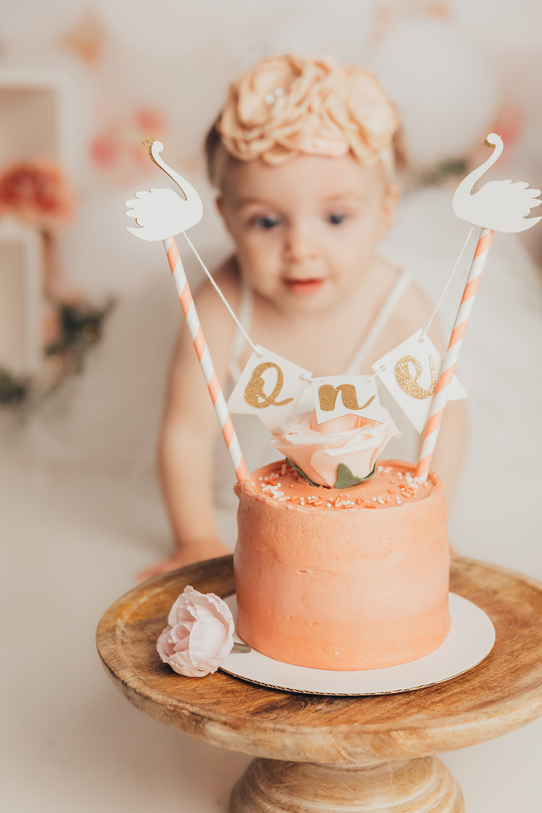 cake-smash-photographer-harrisburg3272-2_websize