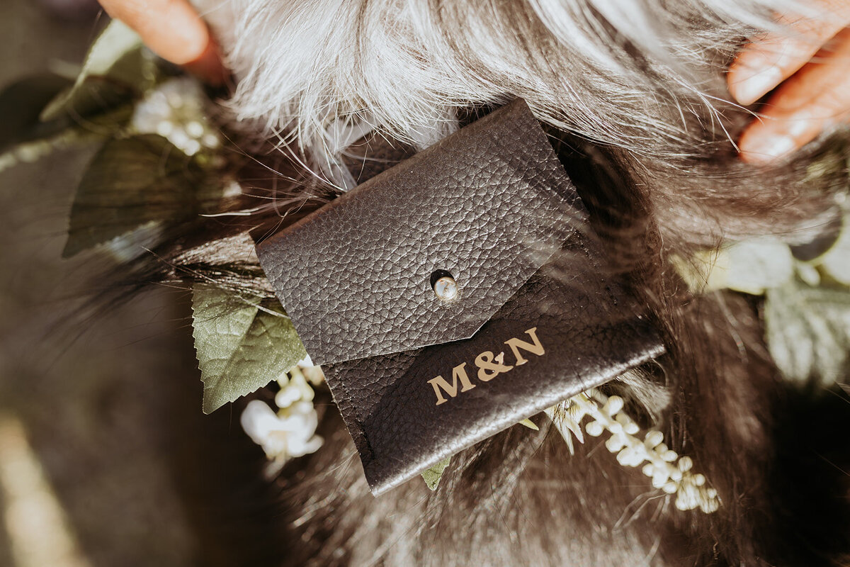Sneak peek (119 of 195)