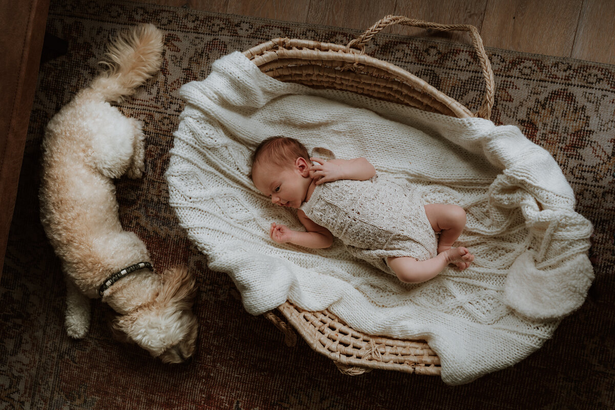 LizTrythallPhotography-35