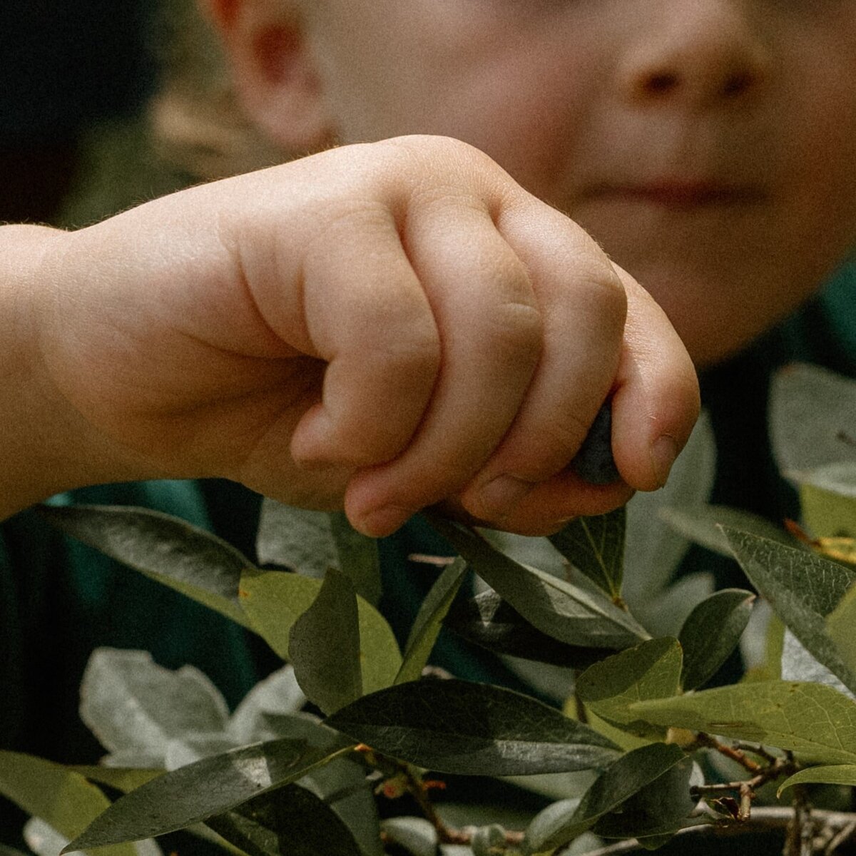 vermont-documentary-family-photography-114_websize-min