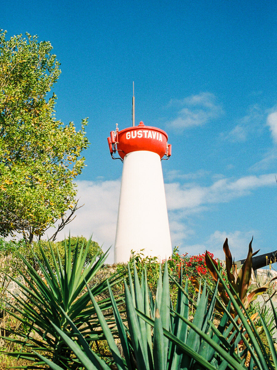 leila-brewster-photography-0355