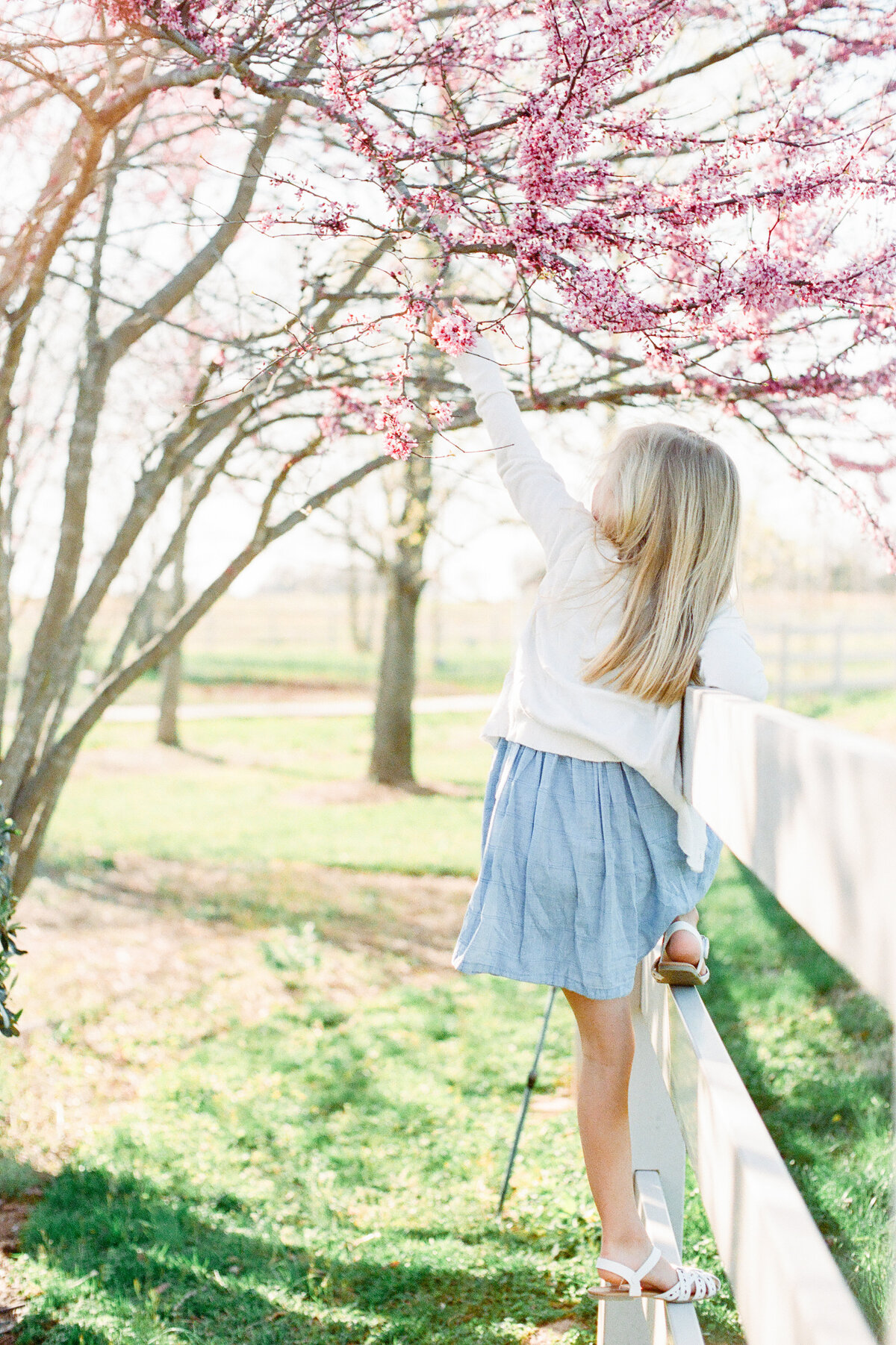 girl-picking-flowers