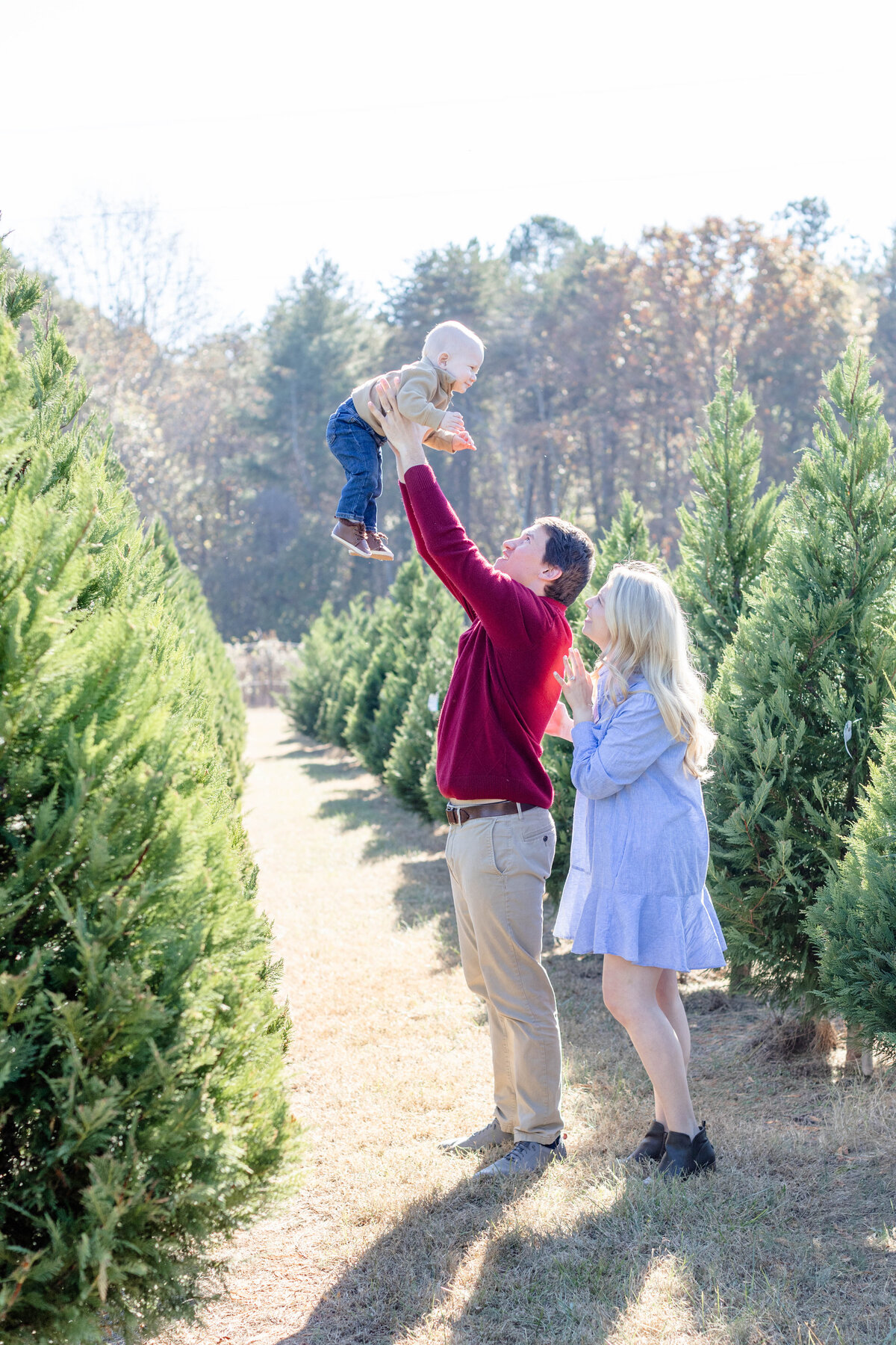 ChristmasTreeFarmMiniSessionGreenvilleSCJennyMacyPhotography-KellyB-23